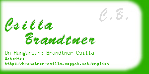 csilla brandtner business card